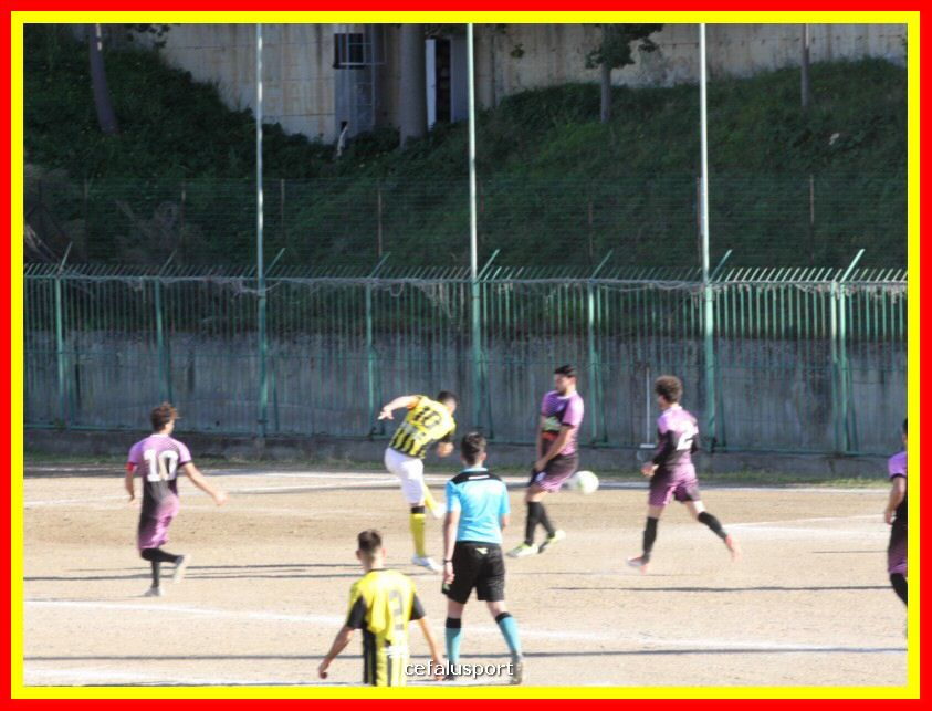 190310 Cephal_Torrenov 137_tn.jpg